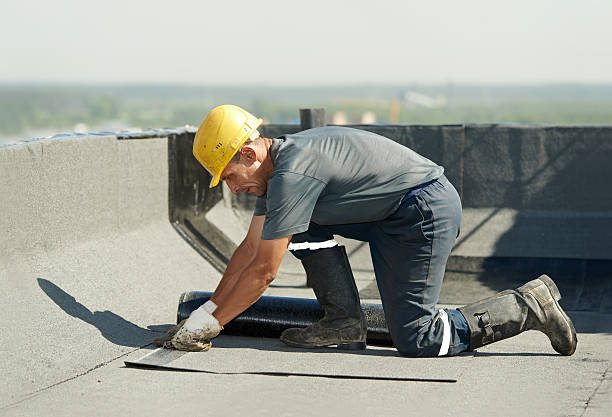 Best Geographic-Specific Insulation Services in Sloan, IA