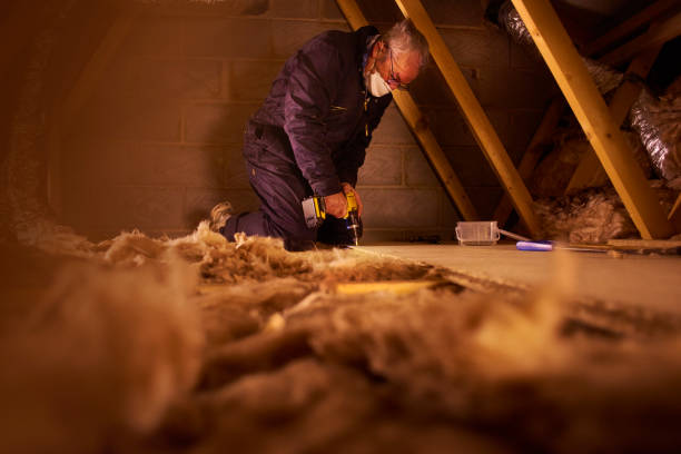 Best Residential Insulation in Sloan, IA